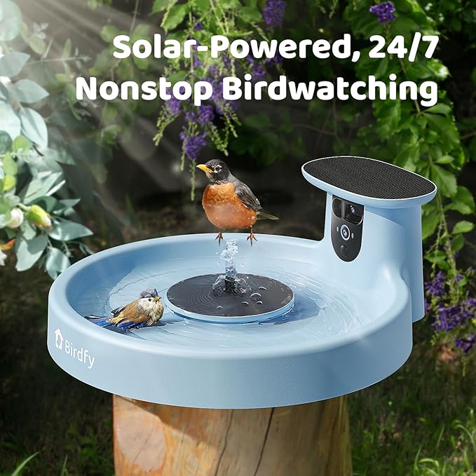 Birdfy Smart Bird Bath with Camera Solar Powered & Fountain, Dual-Lens Camera for Wildbird Watching, Auto Capture Bird Videos & Motion Detection - AI Lifetime Version-VerdiqueGarden