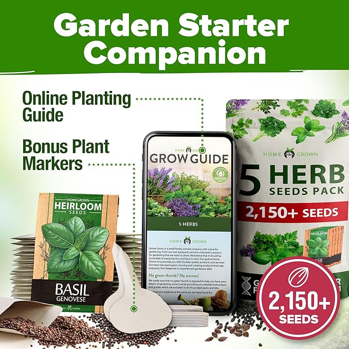HOME GROWN 5 Herb Seeds for Planting 2,150+ Non-GMO Heirloom Seeds | Extra Large Variety Pack Herb Kit – Indoor Outdoor & Hydroponic | Culinary Seed Set | Grow Your Own Herbs | Gift for Beginners-VerdiqueGarden