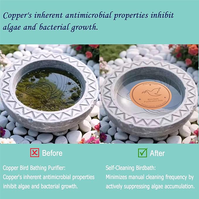 3Pack Bird Bath Copper Purification Disk | 0.6mm Reinforced 99.9% Pure Copper | Universal Fit for Outdoor Birdbaths(Birdbath Copper 3 Pack)-VerdiqueGarden