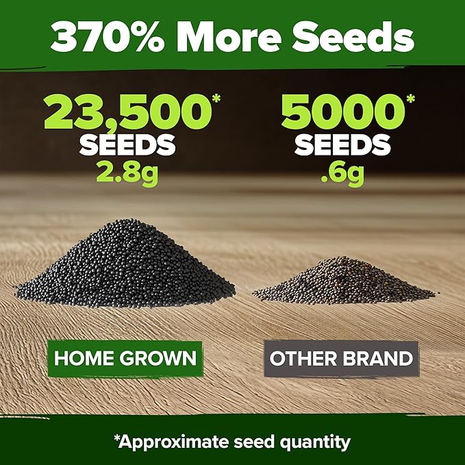 HOME GROWN 23,500+ Moss Rose Seeds (Bulk Pack) Annual Flower for Ground Cover - Heirloom 𝗡𝗢𝗡-𝗚𝗠𝗢 Portulaca Seeds for Planting Outdoors - Great for Low-Maintenance Gardens (Portulaca grandiflora)-VerdiqueGarden