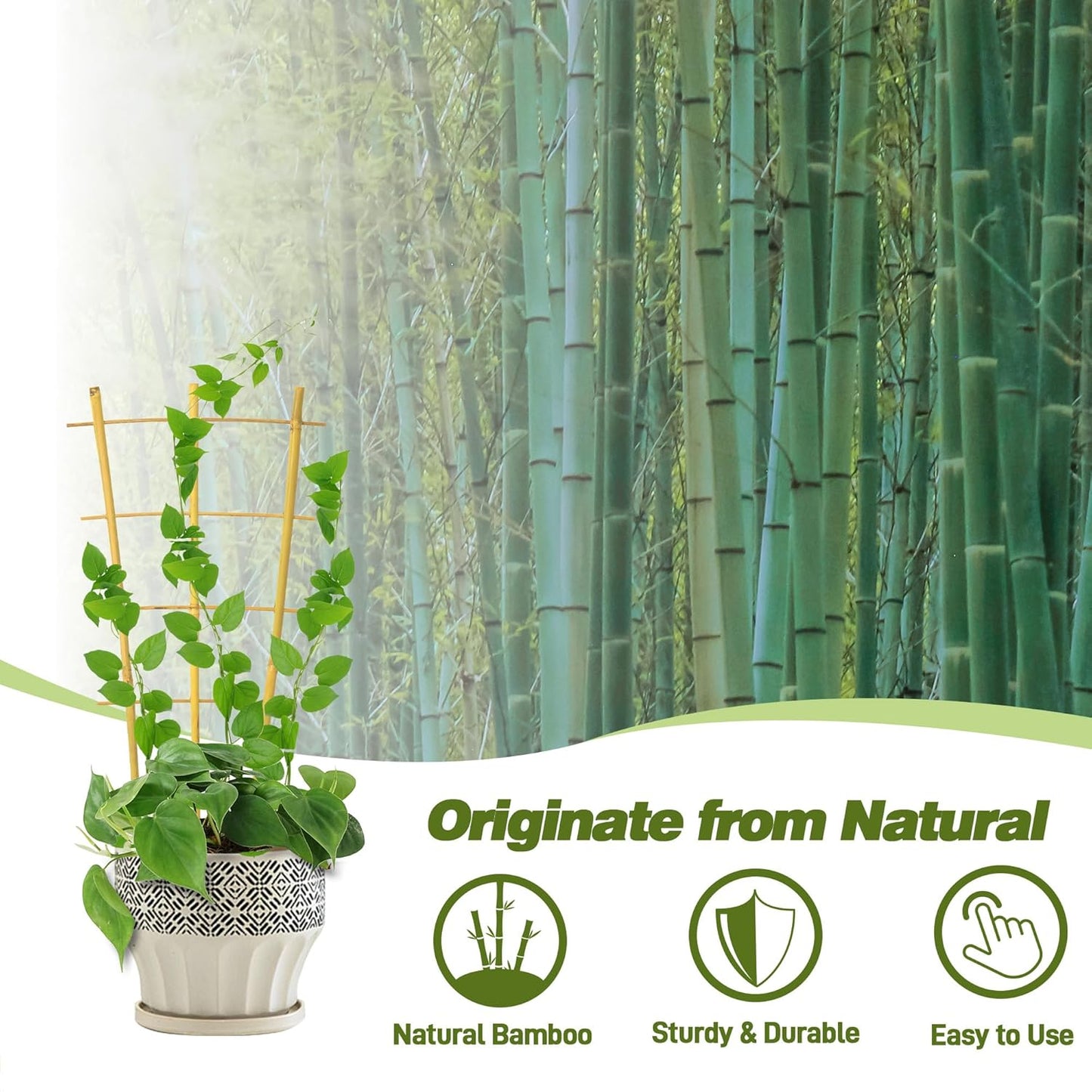 Avalution 10 Pack Bamboo Trellis for Climbing Plants 16" Natural Garden Ladder Trellis, Fan -Shaped Plant Support Trellis for Potted Plant Decor-VerdiqueGarden