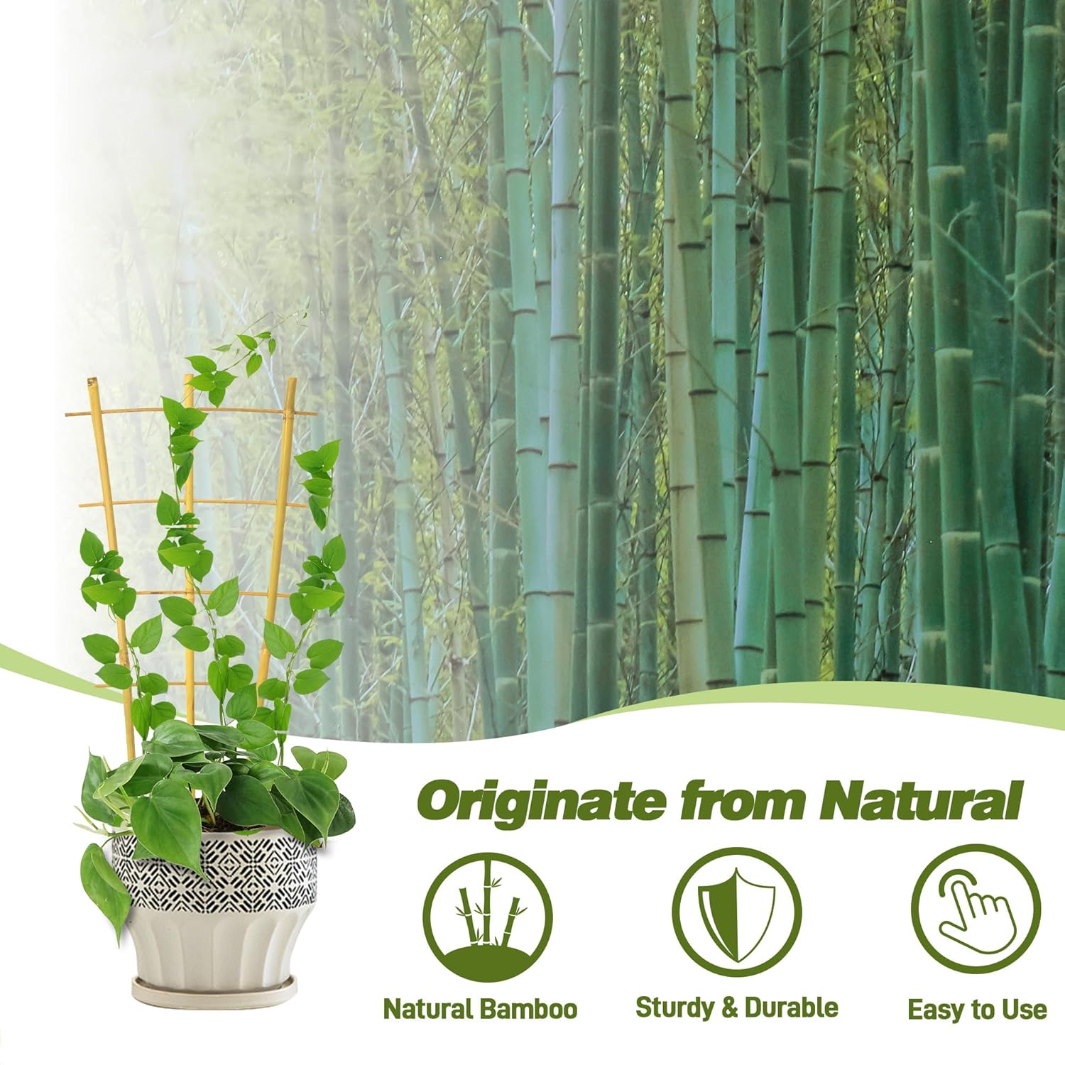 Avalution 10 Pack Bamboo Trellis for Climbing Plants 16" Natural Garden Ladder Trellis, Fan -Shaped Plant Support Trellis for Potted Plant Decor-VerdiqueGarden