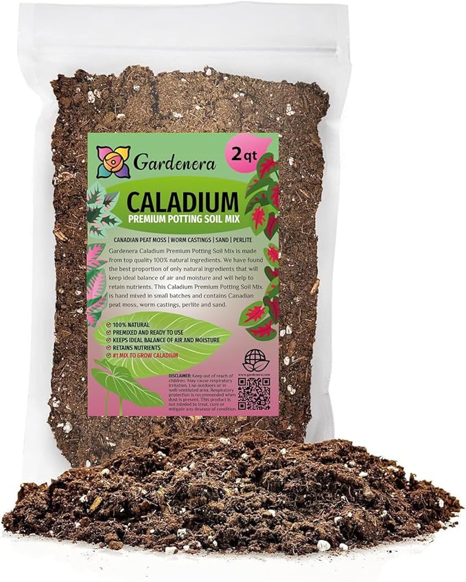 Elevate Your Space with Gardenera's Organic Potting Mix - Tailored for Thriving Caladium Plants and Captivating Leaves - 2 Quart, MAIN-CALADIUM-2QT-VerdiqueGarden