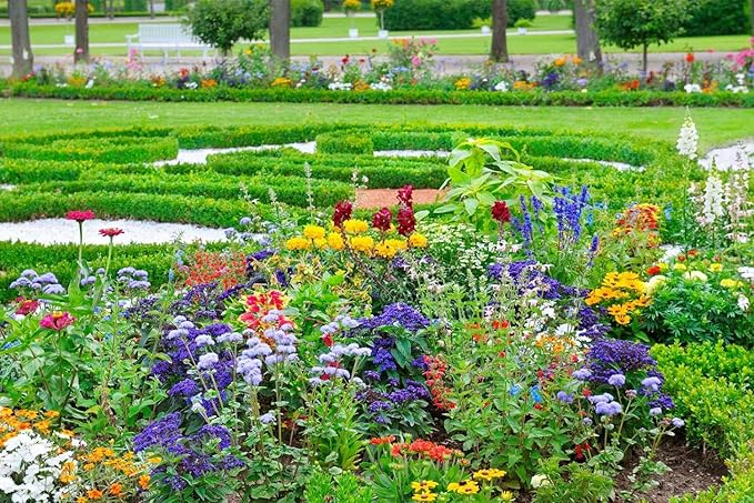 10000+ Perennial Mix Wildflower Seeds 16 Assorted Varieties of Heirloom Flower -1oz Zinnia Poppy Crimson Clover Milkweed Lupine Marigold Mexican Hat Sage Nasturtium-VerdiqueGarden