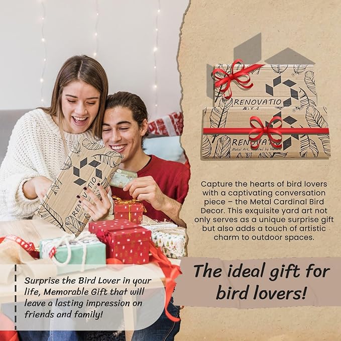 Renovatio Metal Bird Decor – Stylish Decoration for Yard & Garden – Perfect Outdoor Yard Art – 12 Gauge Thick Steel – Ideal Backyard Decor & Bird Ornaments – Cardinal Bird (Black)-VerdiqueGarden