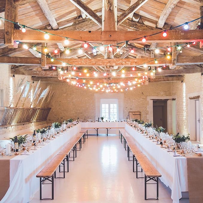 Brightown 25 Pack G40 Colorful Incandescent Bulb, Vintage Globe Replacement Light Bulb for Christmas Lights, 5 Watt E12 C7 Candelabra Base for Patio Yard Garden Holiday Xmas Decoration-VerdiqueGarden