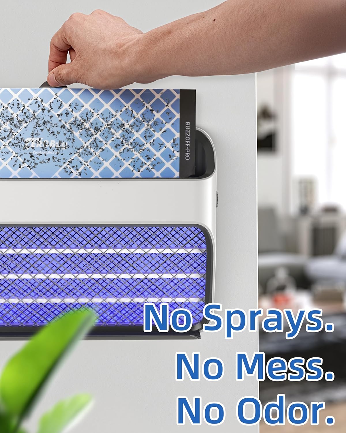 Sticky Fly Trap Refills 5-Pcs for BUZZOFF PRO Zapper, Fruit Fly Catcher Glue Boards for Indoor Use, Odourless, Mess-Free Insect Control-VerdiqueGarden