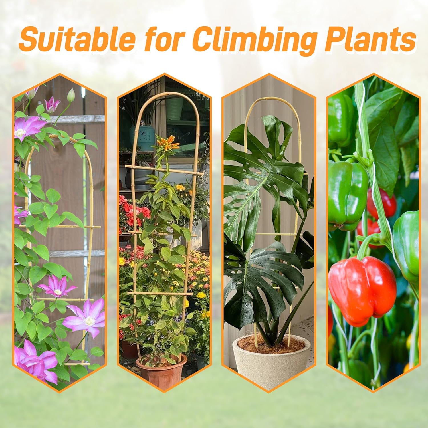 Avalution 10 Pack Bamboo U Trellis for Climbing Plants, 4 FT Garden Ladder Trellis for Potted Plants Indoor, Ladder Small Plant Support Trellis for Houseplants Ivy Hoya Vine Monstera-VerdiqueGarden