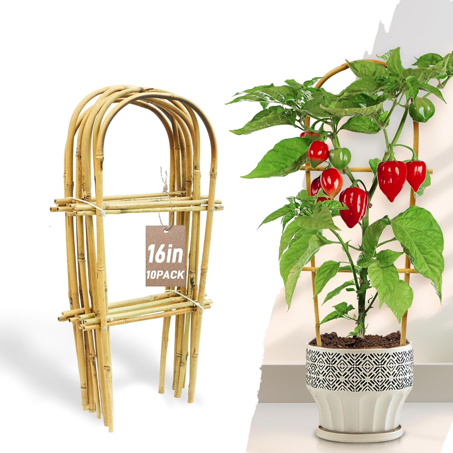 Avalution 10 Pack Bamboo U Trellis for Climbing Plants, 16 Inch Garden Ladder Trellis for Potted Plants Indoor, Ladder Small Plant Support Trellis for Houseplants Ivy Hoya Vine Monstera-VerdiqueGarden