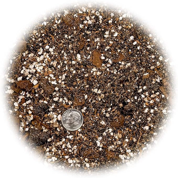 Fiddle Leaf Fig House Plant Soil Premium All Purpose Blend - Peat Moss, New Zealand Bark, Coco Chips and Fibers, Perlite - 2 Quart Bag-VerdiqueGarden