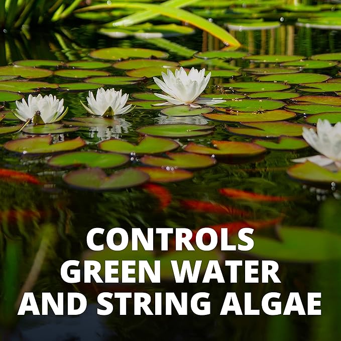 Tetra 77188 Algae Control Treats 36000 gallons, 101.4-Ounce-VerdiqueGarden