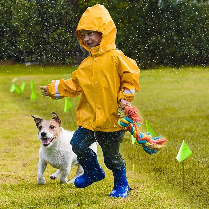 Zozen 100Pack Green Marking Flags, Writable/15x4x5 Inch, Yard Flags for Lawn & Irrigation & Landscape & Sprinkler & Survey & Dog Training.-VerdiqueGarden