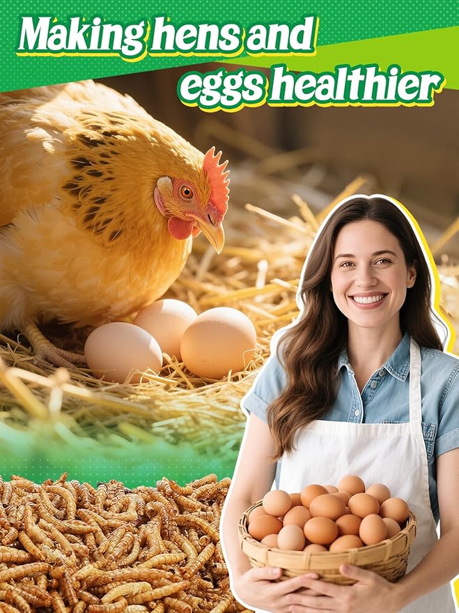 Mealworms Chicken Treats 3 Lbs with Handle Packing, High-Protein Promote Egg Production, Natural Chicken Feed for Laying Hens Wild Birds Ducks-VerdiqueGarden