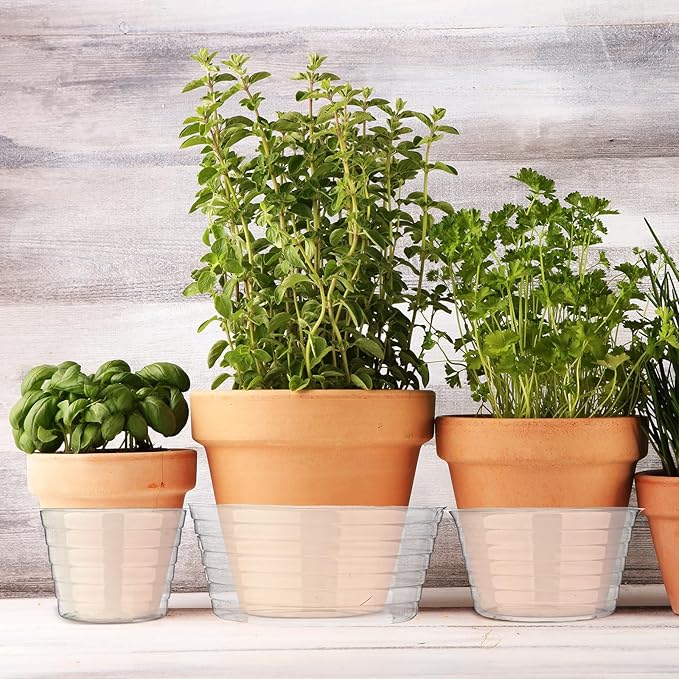 Hoolerry Plastic Plant Saucer Clear Deep Drip Tray Thickened Clear Plant Saucers Trays for Pots Deep Drip Trays for Home Garden Indoor and Outdoor Potted(15 Pcs,4, 6, 8 Inch)-VerdiqueGarden