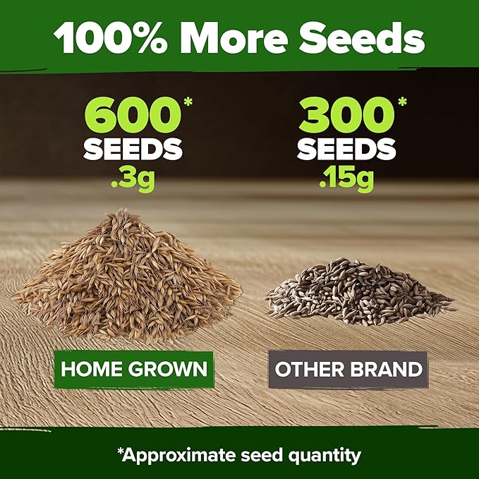 HOME GROWN 𝗨𝗦𝗔 𝗣𝗥𝗘𝗠𝗜𝗨𝗠 Dandelion Seeds for Planting – 600 Heirloom Medicinal Herb Seeds (~0.3g) 𝗡𝗢𝗡-𝗚𝗠𝗢 Grow Edible Leaves and Flowers for Remedies or Wildlife (Taraxacum officinale)-VerdiqueGarden