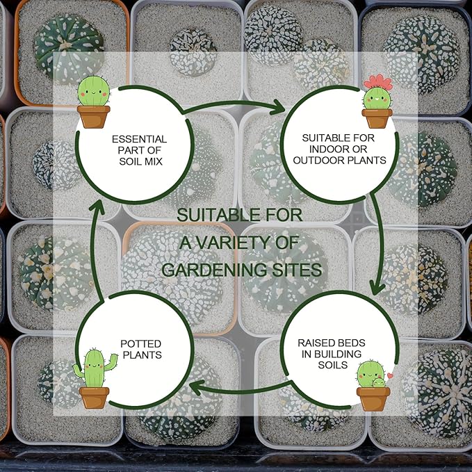 10QT Horticultural Perlite Bulk, Organic Perlite for Plants, Course Perlite for Gardening, for Plants Indoor, for Houseplants, to Promotes Soil Root Growth, and Water Drainage and Plant Growth(3-6mm)-VerdiqueGarden