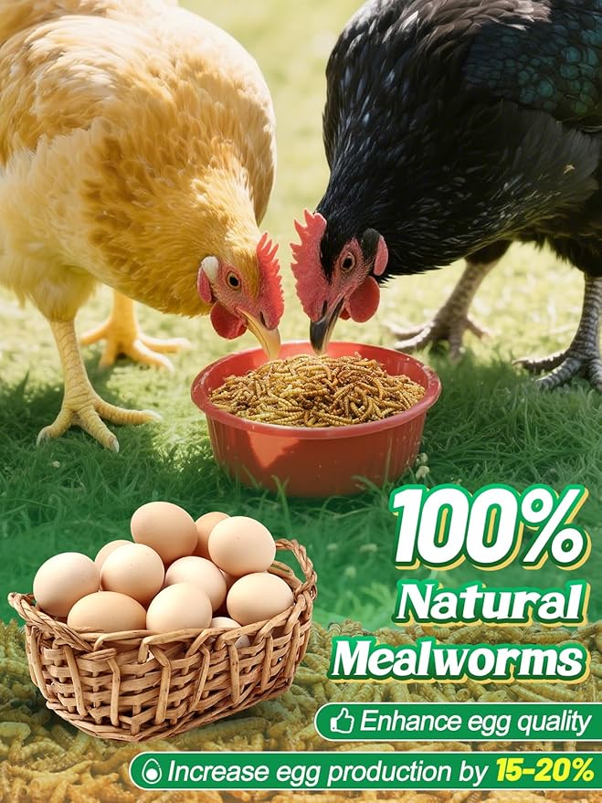 Mealworms Chicken Treats 3 Lbs with Handle Packing, High-Protein Promote Egg Production, Natural Chicken Feed for Laying Hens Wild Birds Ducks-VerdiqueGarden