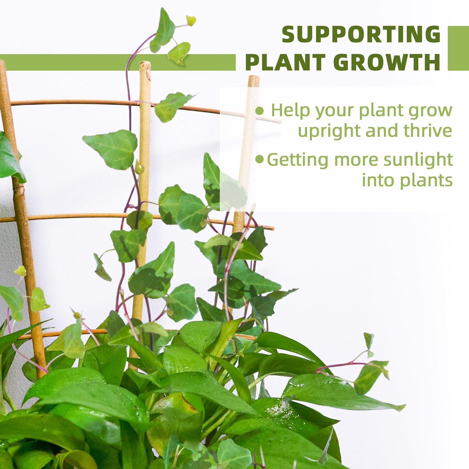 10 Pack 16" Bamboo Trellis for Climbing Plants-Natural Garden Ladder Fan -Shaped Plants Support Trellis for Potted Plant Decor in Door-VerdiqueGarden