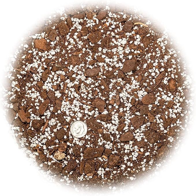 Premium Aloe Vera Potting Soil Mix - 20 Quart - (4 Bags of 5QT)-VerdiqueGarden