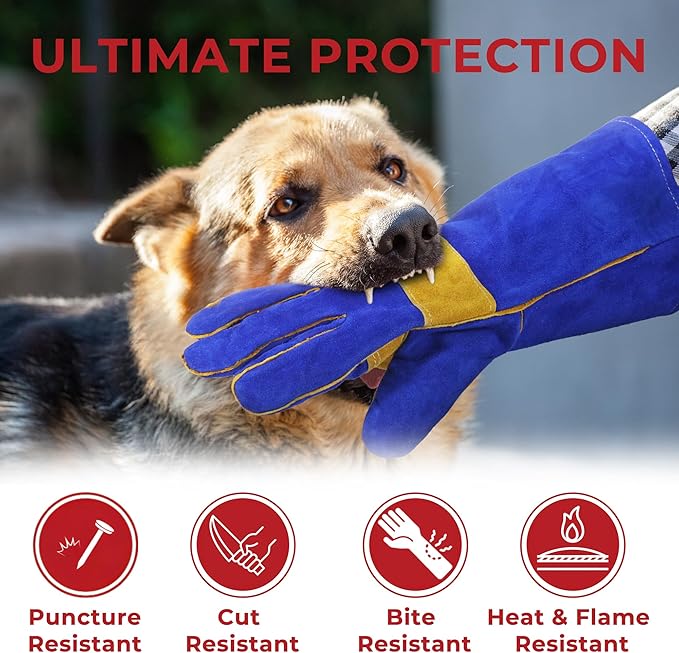 HANDLANDY Animal Handling Gloves, Falconry Cat Glove Bite Proof, Thorn Proof Rose Pruning Gardening Gauntlets (Royal blue, 14 Inches)-VerdiqueGarden