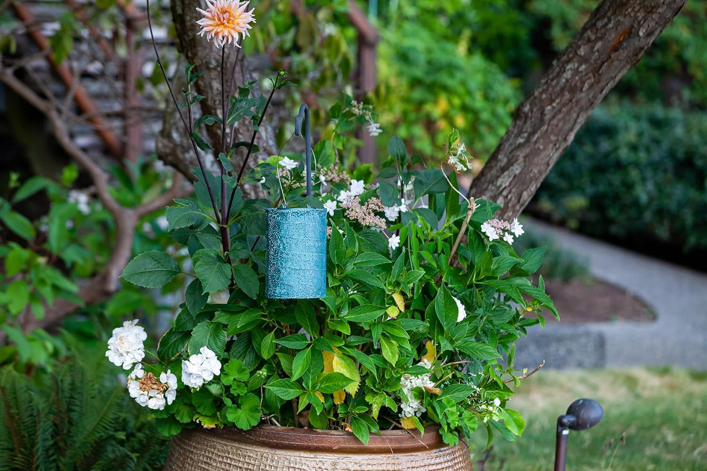 Allsop Soji Stella - Tin Art' Punched Luminaria - Cylinder - 7.5" - Outdoor Solar Latern - Metallic Emerald-VerdiqueGarden