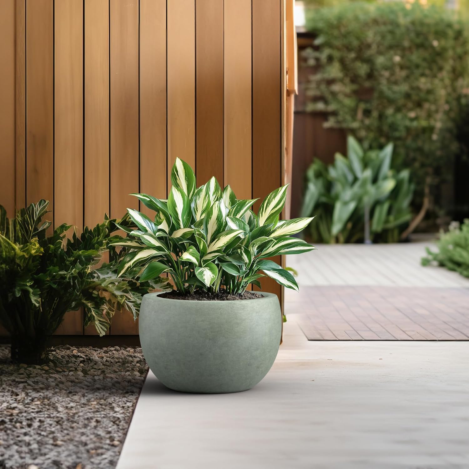 Kante 15.7" Dia Round Concrete Planter, Outdoor/Indoor Large Bowl Plant Pots with Drainage Hole and Rubber Plug for Garden Patio Balcony Home, Mint Green-VerdiqueGarden