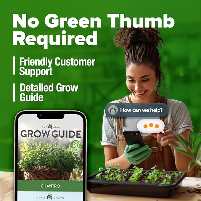 HOME GROWN 𝗨𝗦𝗔 𝗣𝗥𝗘𝗠𝗜𝗨𝗠 500+ Cilantro Seeds for Planting Indoors or Outdoors - Heirloom 𝗡𝗢𝗡-𝗚𝗠𝗢 Coriander Seeds, Grow Your Own Cilantro Plant - Culinary Herb Seeds for Your Herb Garden-VerdiqueGarden