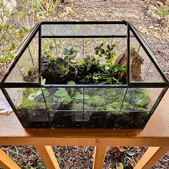 HighFree Geometric Terrarium Planter with Swing Lid, House Shape Black Handmade Glass Box, Vintage Tabletop Miniature Terrarium, for Succulent, Cacti, Air Plants (Not Watertight - 9.2x5.5x7.3 inch)-VerdiqueGarden