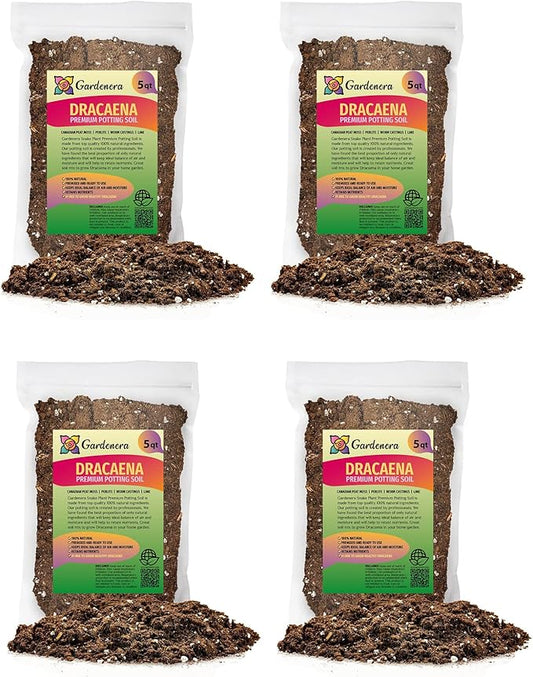 Premium Dracaena Potting Soil Mix - (20 Quart Bag)-VerdiqueGarden
