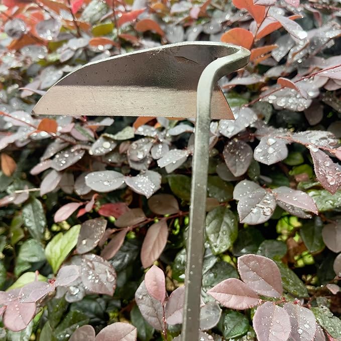 12 Inch Japanese Gardening Hand Weeding Sickle, Weeding Hoe with Long Wooden Handle-VerdiqueGarden