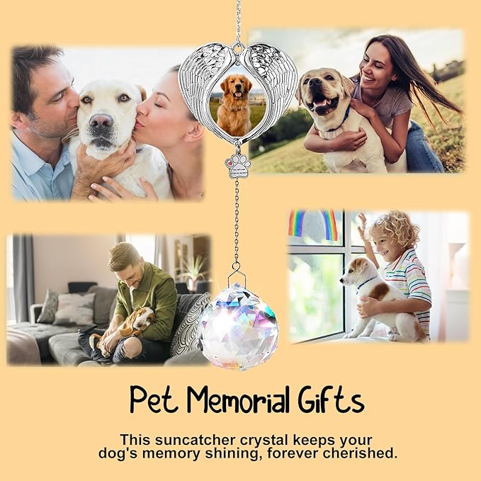Pet Memorial Suncatcher - Dog Memorial Gifts for Loss of Dog, Christmas Pet Paw Print Photo Ornament, Pet Sympathy Gift, Bereavement Gift Ideas for Dog or Cat Passing Away, Remembrance, Silver Metal-VerdiqueGarden