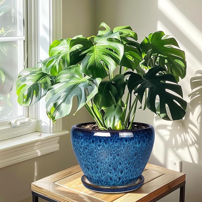10 Inch Ceramic Planter Pot, Ceramic Plant Pot for Indoor Outdoor Plants, Large Flower Pot with Drainage Hole and Saucer, Blue-VerdiqueGarden