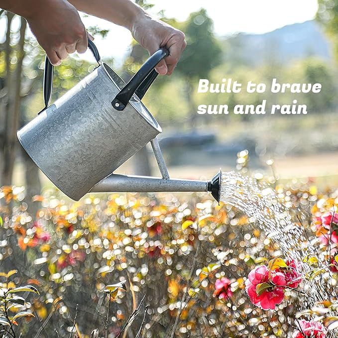 1 Gallon Watering Can for Plants, Watering Cans for Indoor&Outdoor Gardening, Galvanized Steel Watering Pot with Removable Spout, Metal Water Can with Ergonomic Movable Handle(Rustic Silver)-VerdiqueGarden