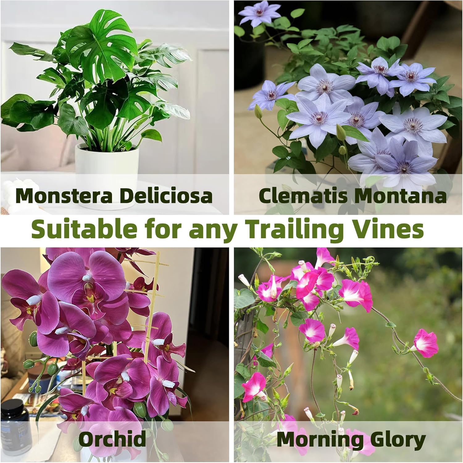 Bamboo Trellis for Climbing Plants 20 Pack, 16 Inch Garden Ladder Trellis for Potted Plants Indoor, Small Plant Support Trellis for Houseplants Vine-VerdiqueGarden