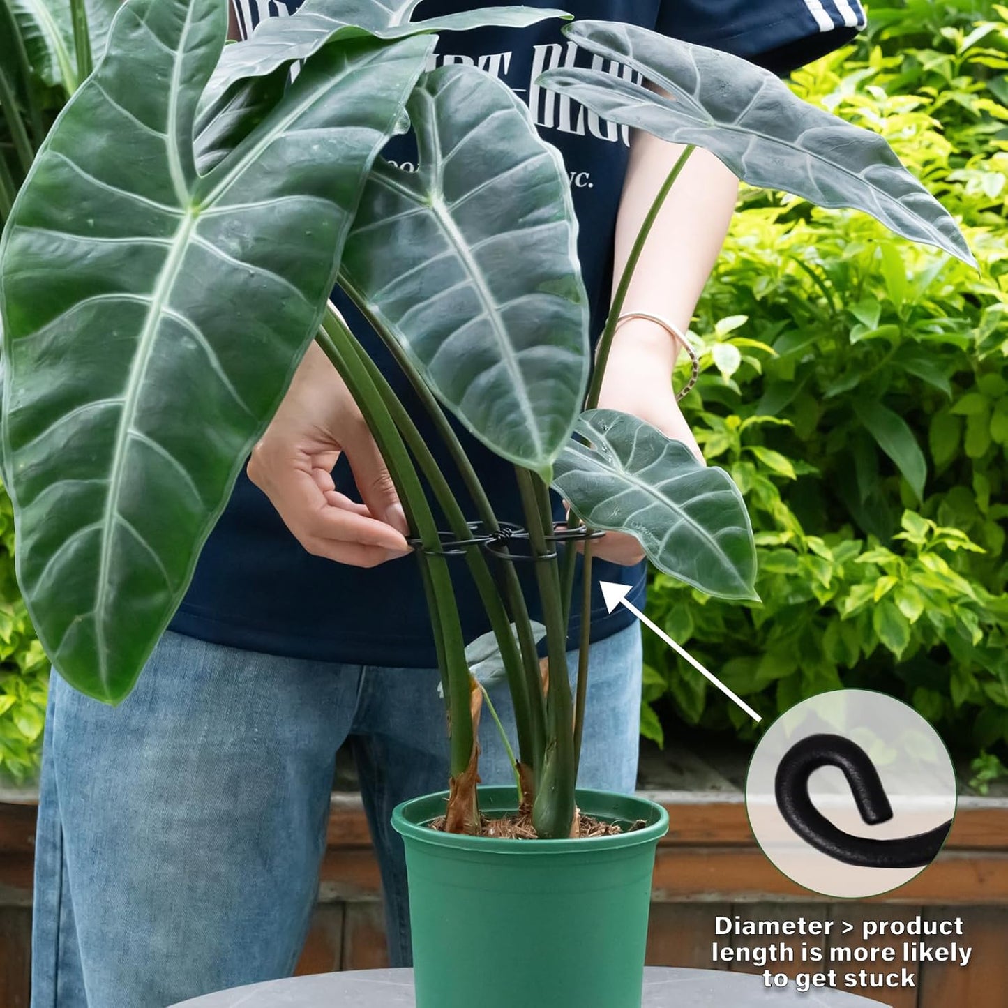 Monstera Plant Support Hook - 4.1x4.1IN 5PCS, Durable Adjustable Stem Support System, Gentle Protection for Monstera and Fishbone Cactus, Professional Indoor Plant Stabilizer-VerdiqueGarden