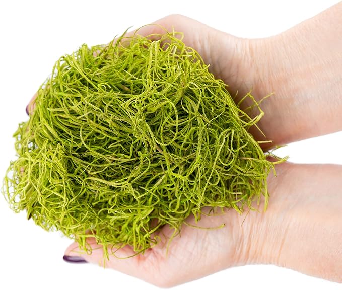 Premium Spanish Moss in Spring Green| Natural Preserved - 20 Quart - Great Ground Cover - Filler for Potted Plants - by GARDENERA (4 Bags of 5 Quart)-VerdiqueGarden