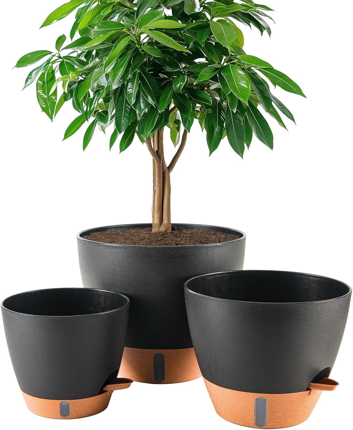 8/10/12 Inch Self Watering Pots for Indoor/Outdoor Plants - Large Plastic Planter with Drainage Holes, Water Level Indicator & Deep Reservoir, Modern Decorative Flower Pots (Black)-VerdiqueGarden