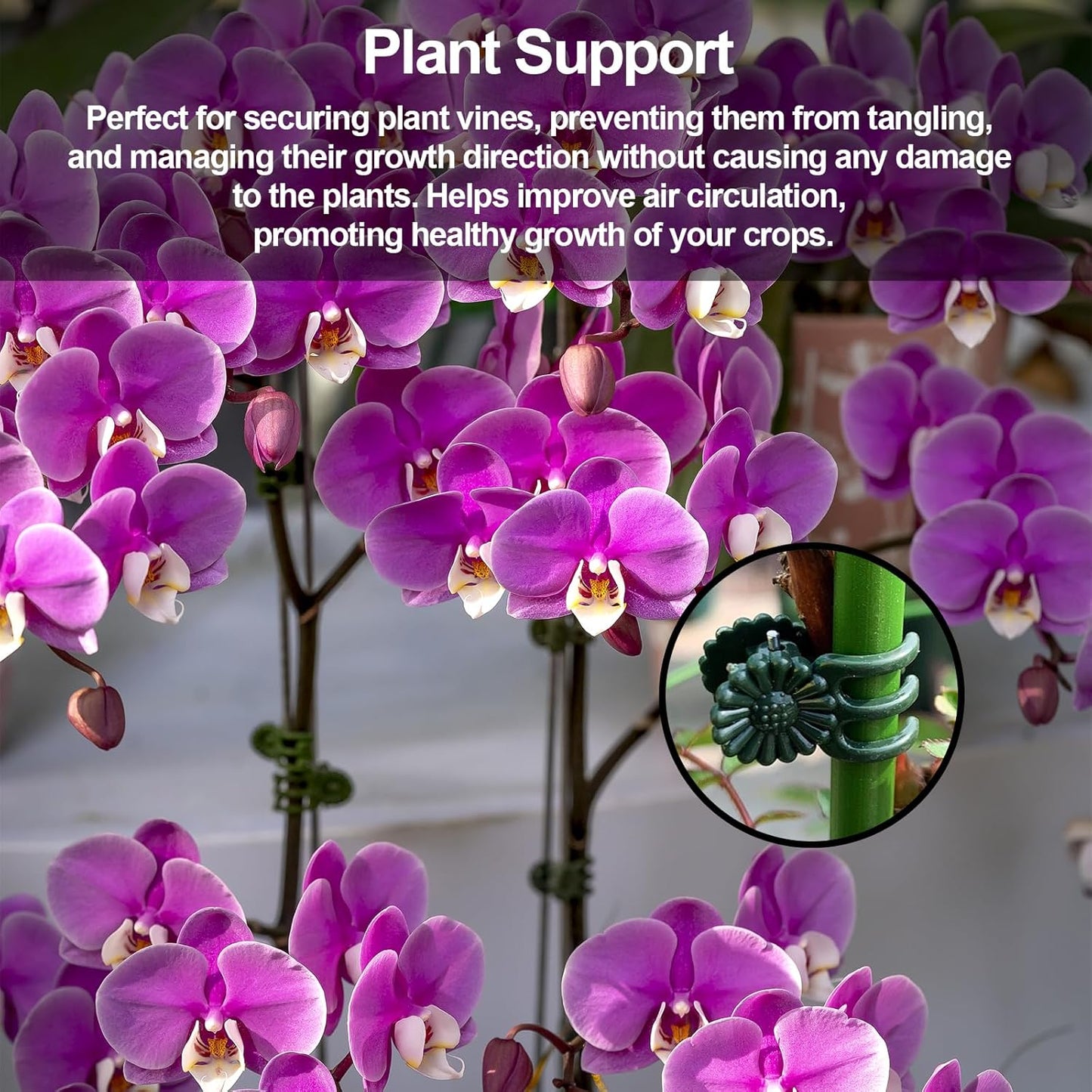 50 Pcs Plant Clips Orchid Clips,Plant Orchid Support Clips,Flower and Vine Clips，Garden Clips，Plant Clips for Climbing Plants-VerdiqueGarden
