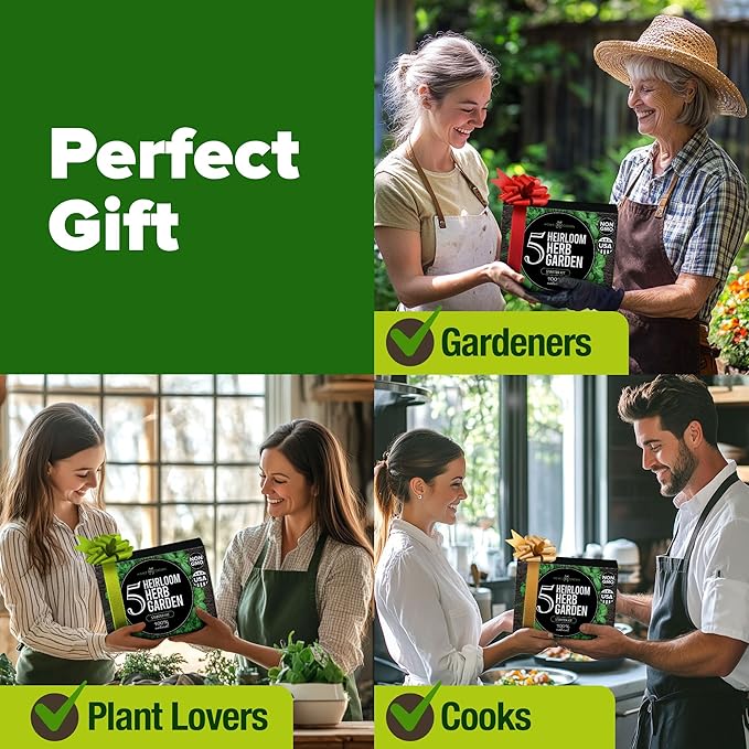 HOME GROWN Indoor Herb Garden Starter Kit - Christmas Gift for Gardeners - Complete 5 Herb Plant Grow Kit - Unique Gift for Mom, Women, Her, Men - Birthday Gift-VerdiqueGarden