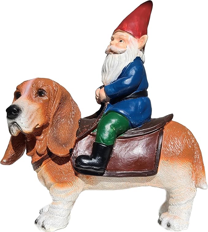 Funny Guy Mugs Gnome Riding A Basset Hound - Funny Garden Gnomes Gifts for Women - Garden Gnomes for Outdoors - Gifts for Dog Lovers - Indoor/Outdoor Garden Gnome Sculpture for Patio, Yard or Lawn-VerdiqueGarden