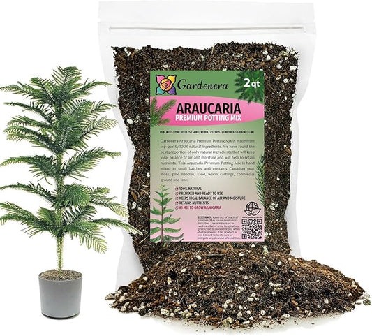 Premium Araucaria Potting Soil Mix - Perfect Balance of Nutrients, Drainage, and Aeration for Healthy Araucaria Trees - 2 Quart-VerdiqueGarden