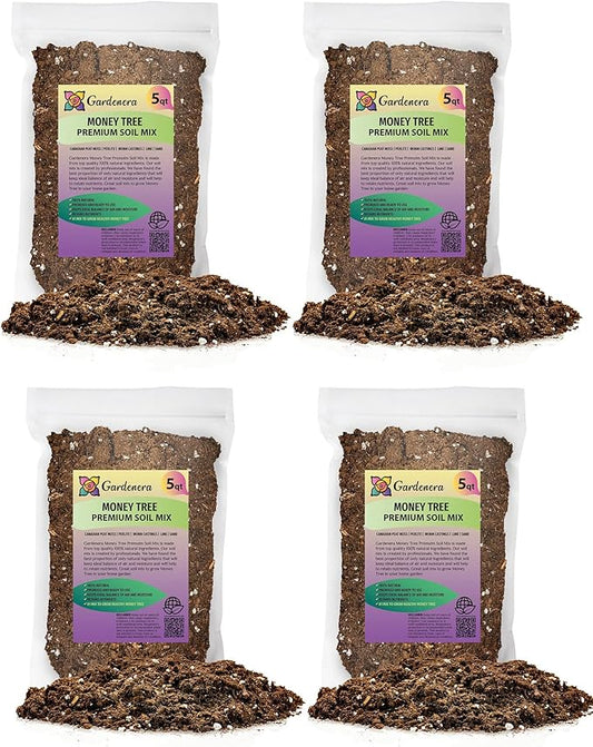 Money Tree Potting Soil - 20 Quart - Soil Mix for Planting or Repotting Guiana Chestnut, Soil Blended to Properly Grow Money Tree Plants (4 Bags of 5 Quart)-VerdiqueGarden