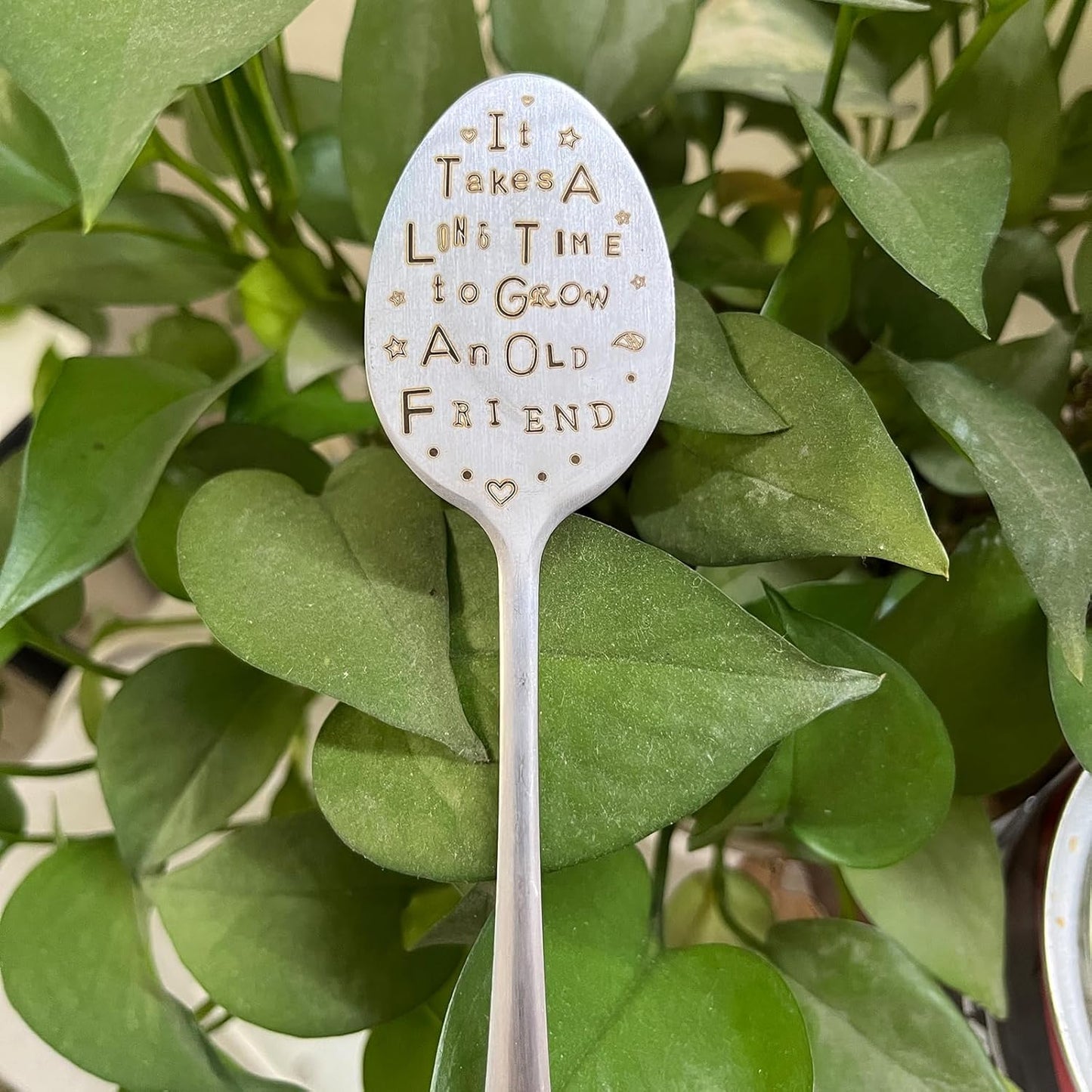 Garden Plant Marker Friendship Gift for Women Gardeners, Plant Stake Label Sign Tag Gardening Gifts for Woman Plant Lovers, Metal Garden Decoration (Grow an Old Friend)-VerdiqueGarden