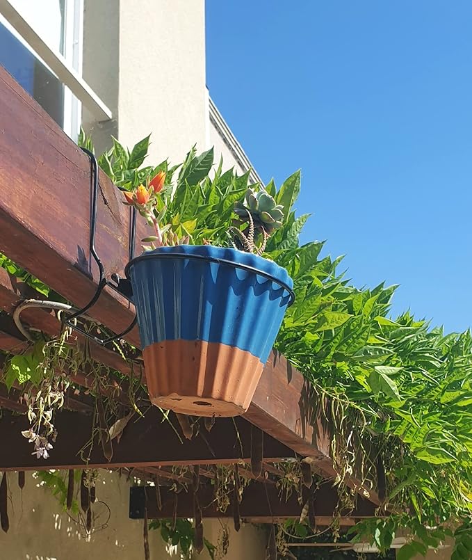 6 Pieces, 6 inches Iron Hanging Flower Pot. Metal Plant Wall Hanger, Vertical Garden. Planter Hook Ring, Rail Metal Fence. Indoor and Outdoor. Yard Garden. Wire Trellis. Collapsible Bracket. (Black)-VerdiqueGarden