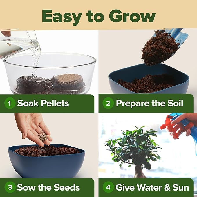 Bonsai Tree Kit - Gifts for Men & Women (Master Kit)-VerdiqueGarden