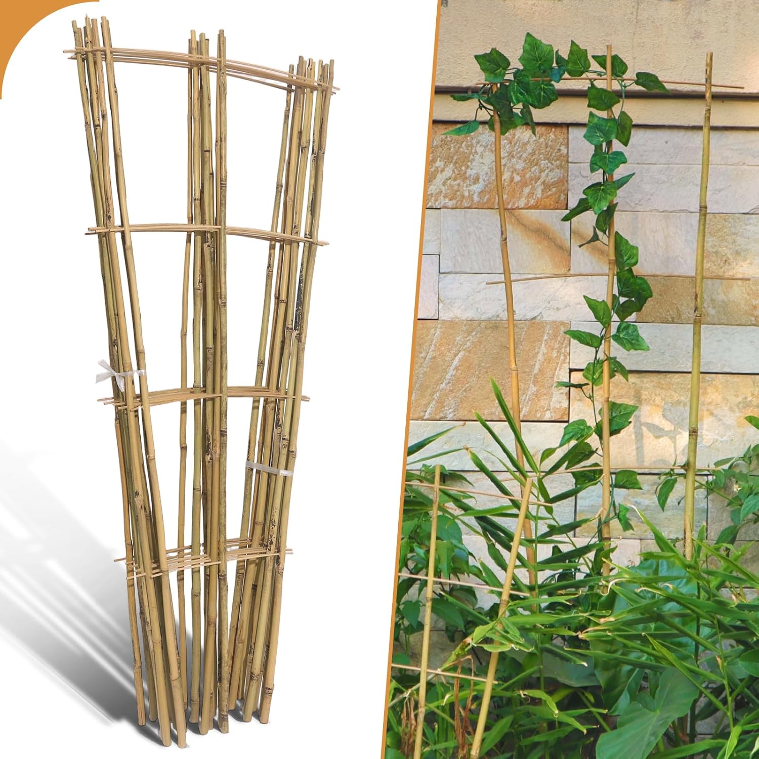 10 Pack 4ft Bamboo Trellis for Climbing Plants-Natural Garden Ladder Trellis, Fan -Shaped Support Trellis for Potted Plant Decor in Door-VerdiqueGarden