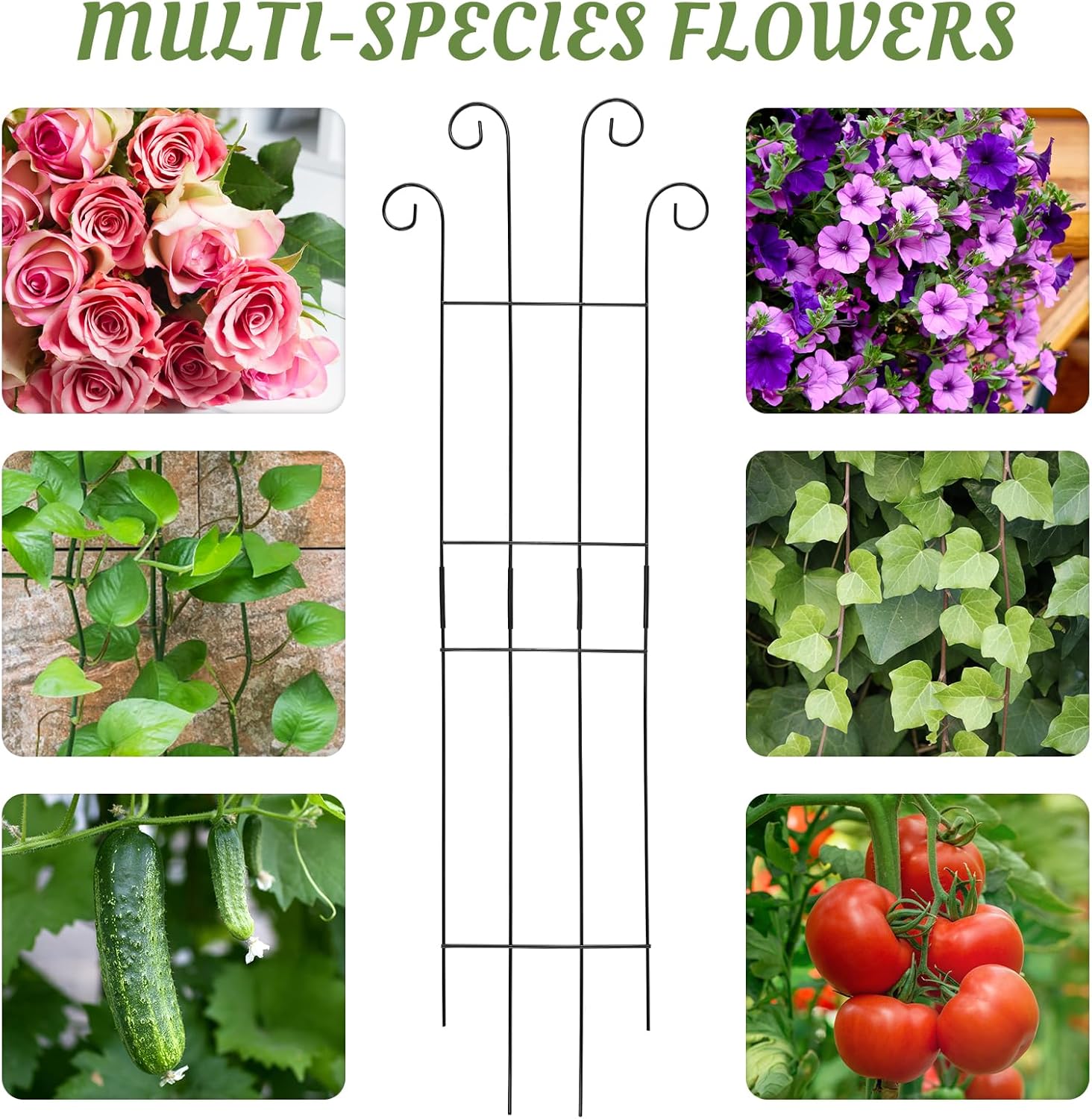 4 Pack 32'' Wave Shape Black Metal Trellis for Climbing Plants Indoor & Outdoor, Garden Trellis for Houseplants Flowers Vine Ivy-VerdiqueGarden