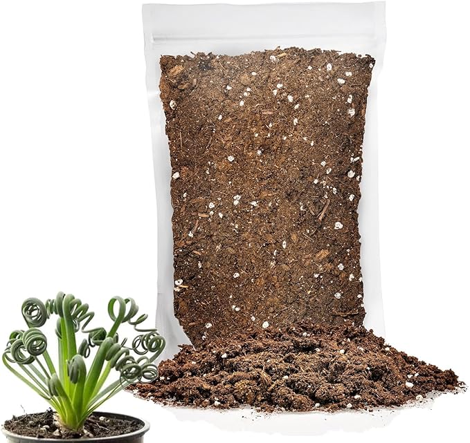 Premium Albuca Spiralis Potting Soil Mix - Perfect Balance of Nutrients, Drainage, and Aeration for Thriving Blooms - 1 Quart-VerdiqueGarden