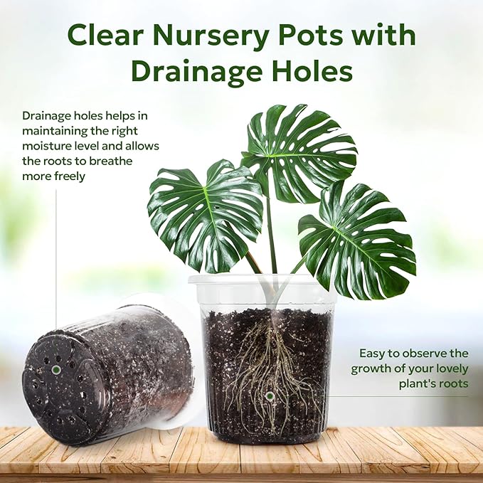 1 Gallon Reinforced Clear Nursery Pots with Drainage Hole, 30 Packs, 6.7 Inch Transparent Pots for Seedlings, Indoor/Outdoor Plants, Veggies, Flowers, and Professional Nursery Use-VerdiqueGarden