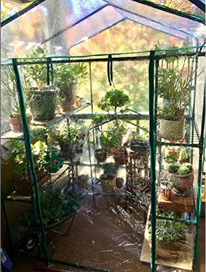 Home-Complete 514537FXW Walk-in Greenhouse-Indoor Outdoor with 8 Sturdy Shelves-Grow Plants, Seedlings, Herbs, or Flowers in Any Season-Gardening Rack, Green-VerdiqueGarden